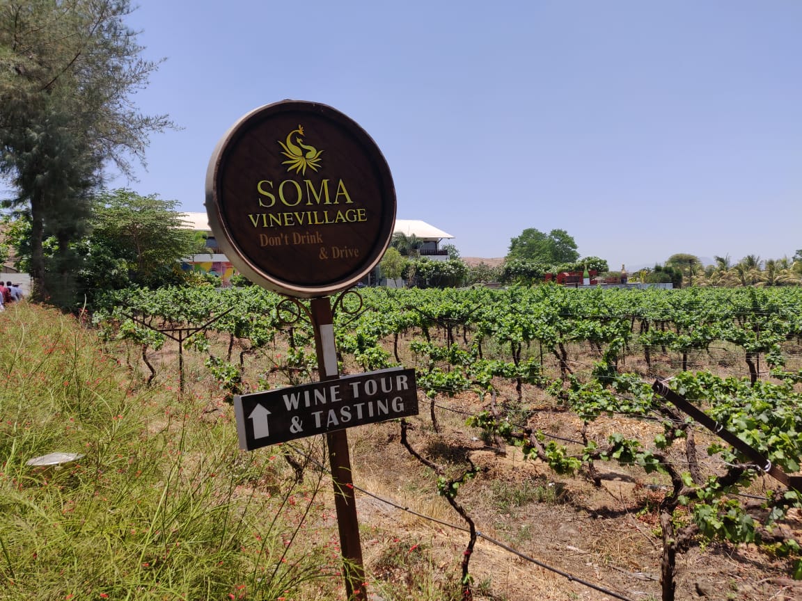 Soma wine tour (2).jpg
